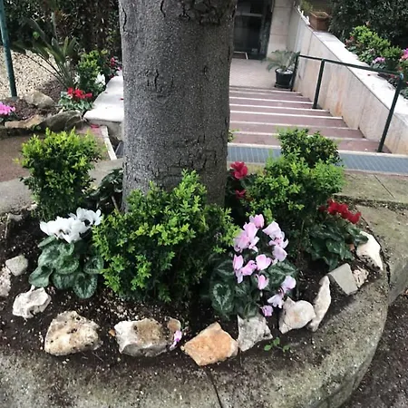 Casa Bijoux Apartament