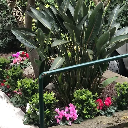 Apartament Casa Bijoux